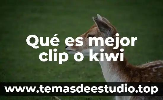 Qué es mejor clip o kiwi