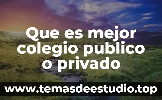 Que es mejor colegio publico o privado