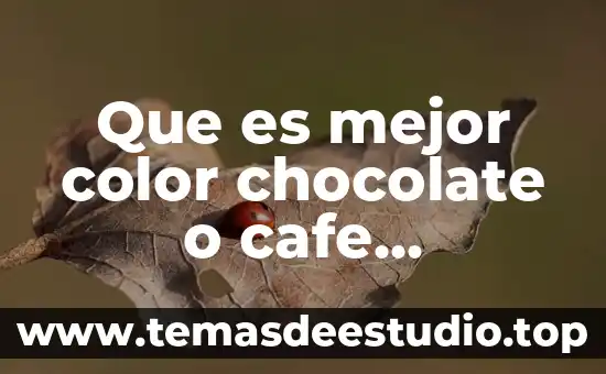Que es el psicoanalisis y ejemplos 5 Que es mejor color chocolate o cafe cocinetas