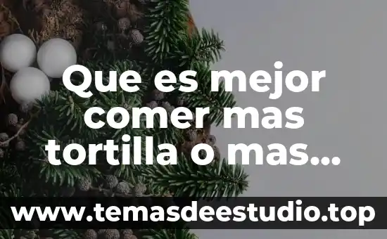 Qué es sol comida 7 Que es mejor comer mas tortilla o mas comida