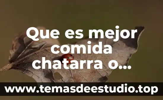 Que es mejor comida chatarra o saludable