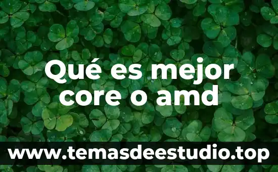 Qué es mejor core o amd