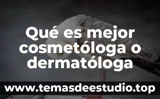 Qué es mejor cosmetóloga o dermatóloga