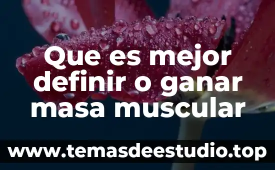 Que es un ente en el derecho 8 Que es mejor definir o ganar masa muscular