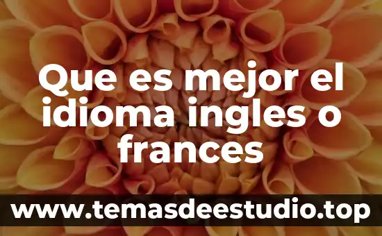 Aderezo francès que es 4 Que es mejor el idioma ingles o frances