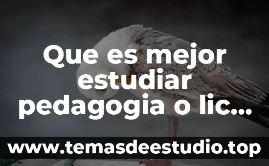 Que es lo que significa estudiar filosofia 7 Que es mejor estudiar pedagogia o lic en preescolar