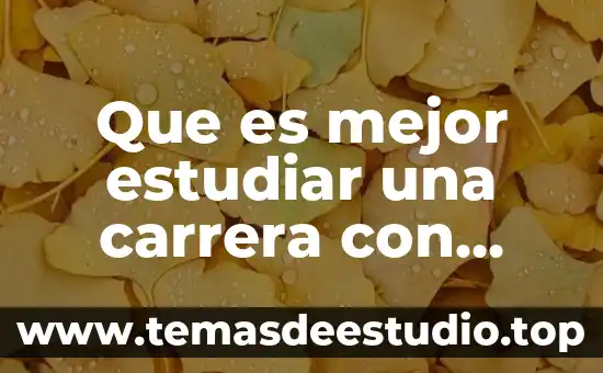 Qué es mejor estudiar finanzas o ingeniería en telemática 4 Que es mejor estudiar una carrera con demanda o no
