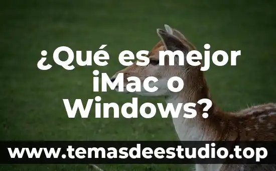 Que es arquitectura de windows 4 ¿Qué es mejor iMac o Windows?