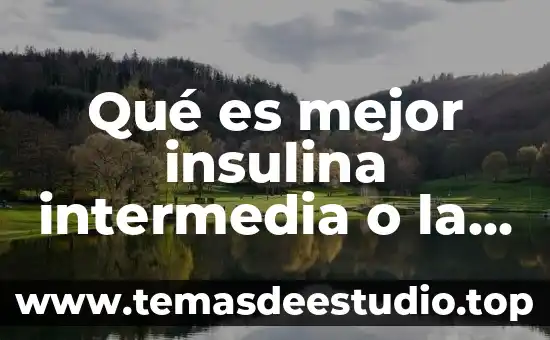 Que es comision bancaria y de valores 6 Qué es mejor insulina intermedia o la glargina