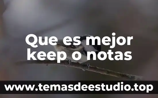 Que es mejor loffymix o acenil 7 Que es mejor keep o notas