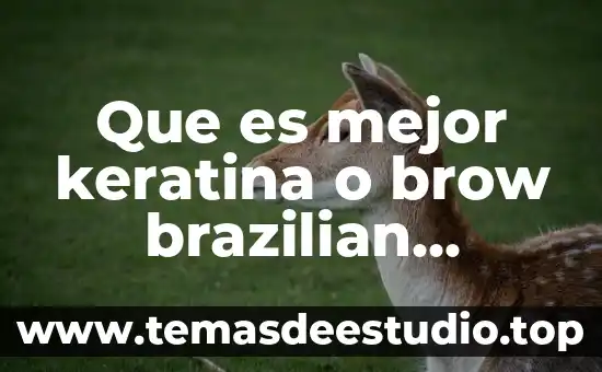 Qué es mejor acordeón de sol o fa 8 Que es mejor keratina o brow brazilian blowout