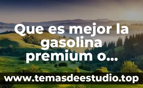 ¿Qué es mejor motor a gasolina o diesel? 4 Que es mejor la gasolina premium o magna