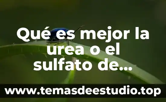 Que es el endocardio concepto 7 Qué es mejor la urea o el sulfato de amonio