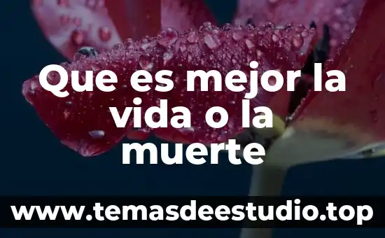 Que es mejor color chocolate o cafe 3 Que es mejor la vida o la muerte