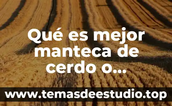 Que es mejor loffymix o acenil 3 Qué es mejor manteca de cerdo o manteca inca