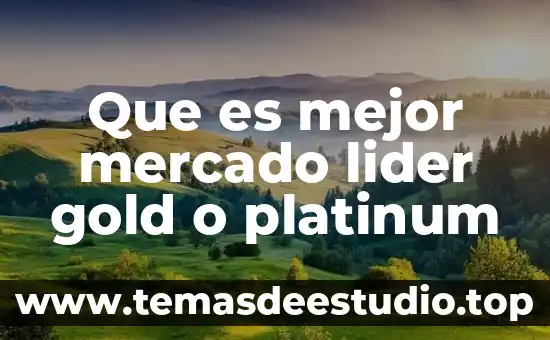Qué es ser un líder emprendedor 3 Que es mejor mercado lider gold o platinum