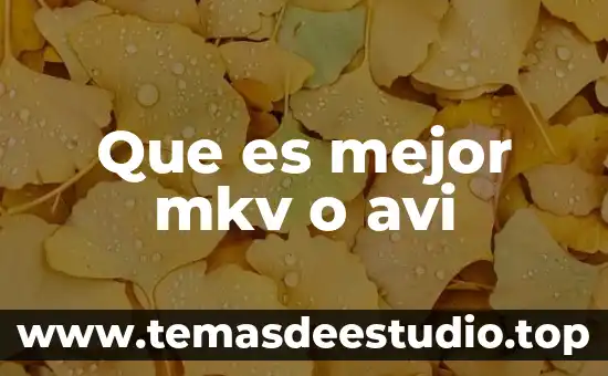 Que es mejor oro laminado o chapa 7 Que es mejor mkv o avi