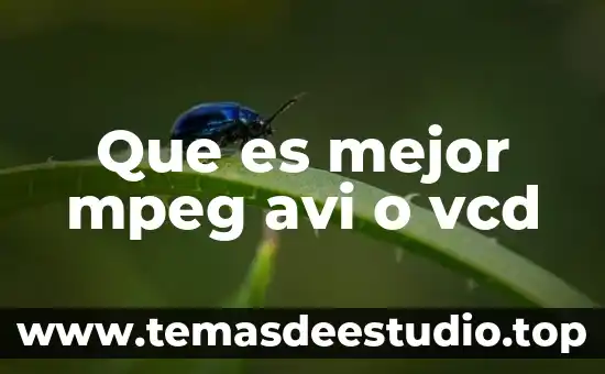 Que es mejor mpeg avi o vcd