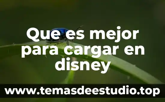 Que es mejor para cargar en disney