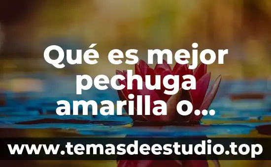 Trotar o correr que es mejor 6 Qué es mejor pechuga amarilla o blanca