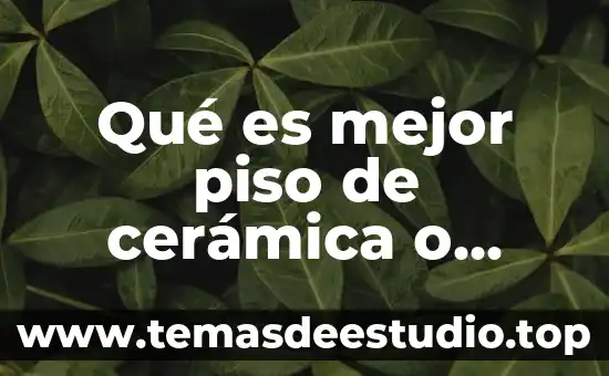 Qué es cerámica en arquitectura 4 Qué es mejor piso de cerámica o vinílico