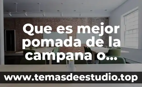 Que es mejor pomada de la campana o vitacilina