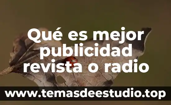 Que es la publicidad en el proceso penal 3 Qué es mejor publicidad revista o radio