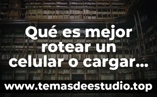 Que es mejor puff doble o cojin sala junior 6 Qu茅 es mejor rotear un celular o cargar software