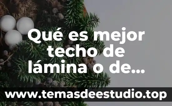 Qué es mejor rotear un celular o cargar software 5 Qué es mejor techo de lámina o de concreto