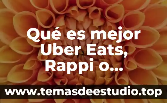 Qué es mejor Uber Eats, Rappi o Síndelantal
