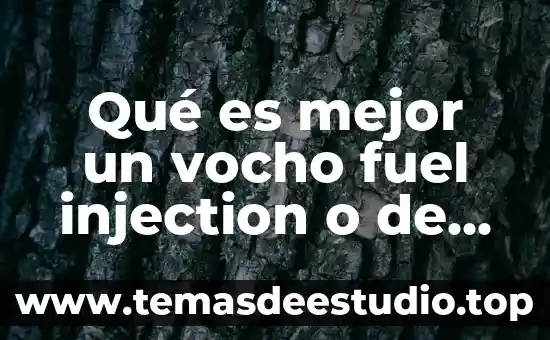 Qué es mejor un vocho fuel injection o de carburador