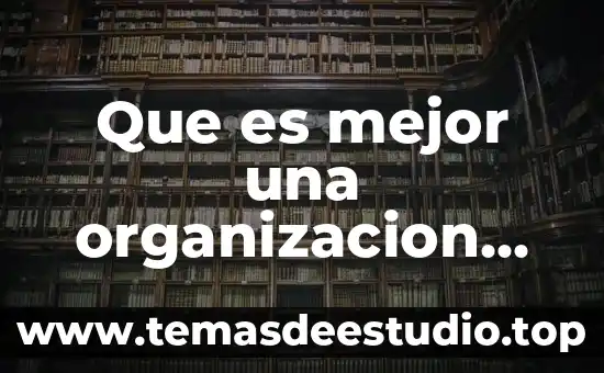 Que es mejor una organizacion civil o un movimiento social