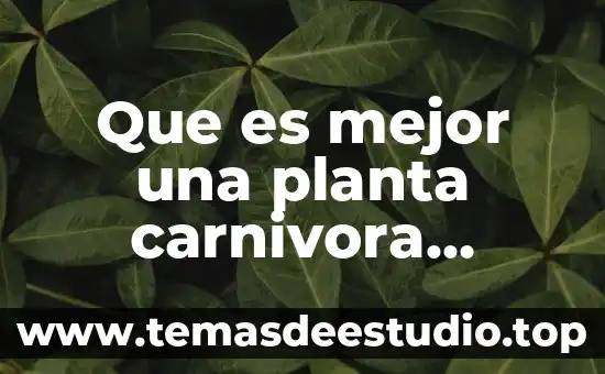 Que es el cuerpo secundario de una planta 5 Que es mejor una planta carnivora adulta o pequeña