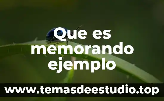 Qué es una conclusión y ejemplo 3 Que es memorando ejemplo