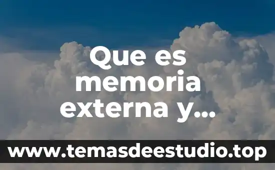 Que es memoria externa y interna