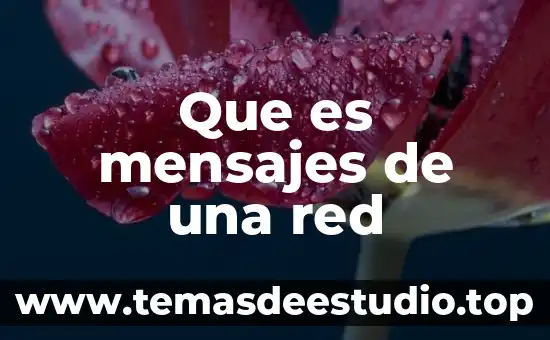 Que es lo mas importante de los mensajes publicitarios 7 Que es mensajes de una red