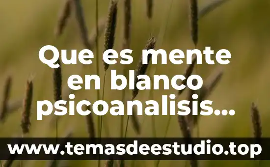 Qué significa conciencia moral según Freud 6 Que es mente en blanco psicoanalisis segun freud