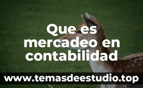 Que es dr en contabilidad 6 Que es mercadeo en contabilidad