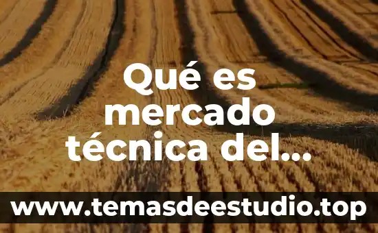 Qué es mercado técnica del deporte