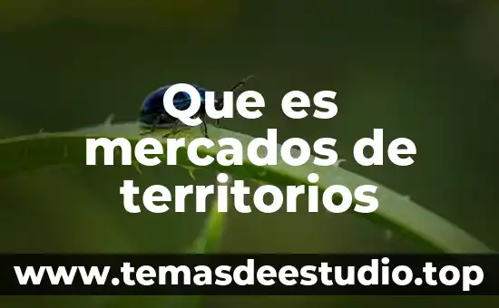 Qué es una hipótesis en investigación de mercados 5 Que es mercados de territorios