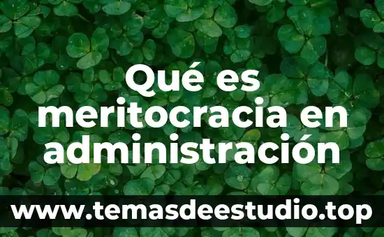 Qué es meritocracia en administración