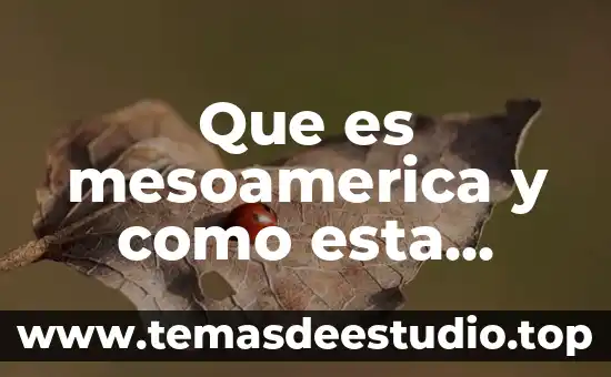 De que es esta formula quimica clo2 4 Que es mesoamerica y como esta integrada el area maya