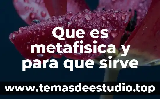 Que es la etica en metafisica 3 Que es metafisica y para que sirve