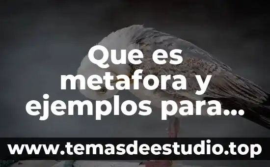 Que es lenguaje metáfora 3 Que es metafora y ejemplos para niños