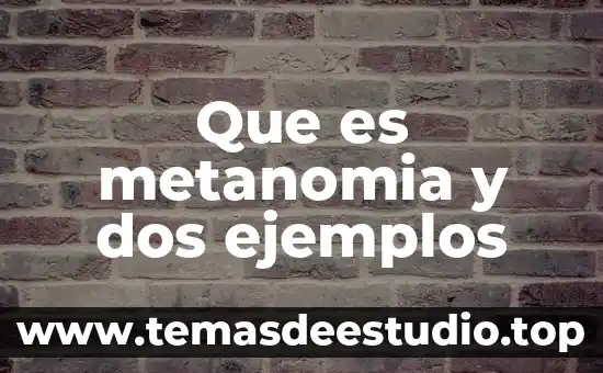 Que es un argumento analogicos ejemplos 5 Que es metanomia y dos ejemplos