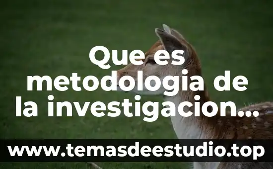 Que es una tesis de ciencias sociales 7 Que es metodologia de la investigacion en las ciencias sociales