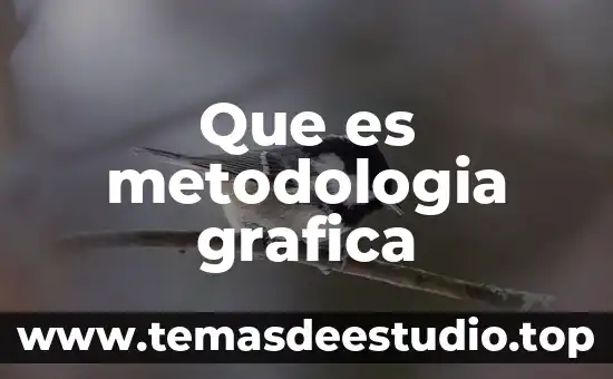 Que es metodologia grafica
