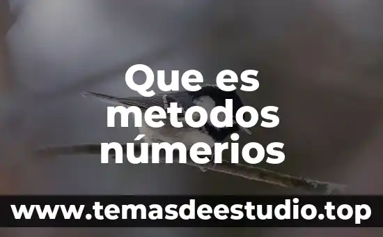 Que es metodos númerios