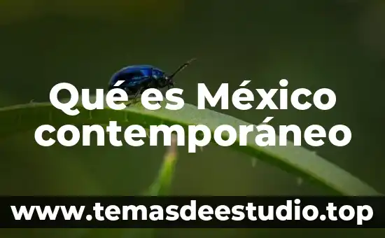 Crees que es un monumento la catedral de México 7 Qué es México contemporáneo