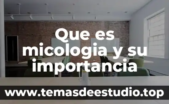 Que es en fisica caida libre 5 Que es micologia y su importancia